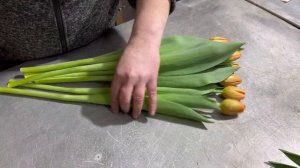 Тюльпаны . Продажа . Срезка полным .Как упаковать  и хранить .