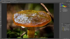 Adobe Photoshop 2020 New Feature - The Object Selection Tool