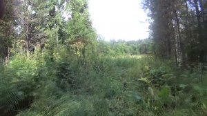 экспедиция к месту крушения самолета Аэрокобра 1943 год