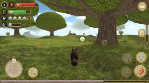 Симулятор Белки 2 Онлайн #1 Новый сим с Кидом. Черная и рыжая белочка на пурумчата