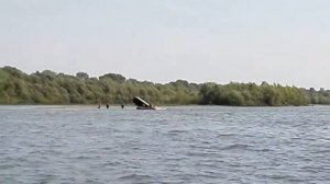 Человек выпал из лодки, а мотор продолжал работать