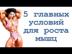5 главных условий для роста мышц