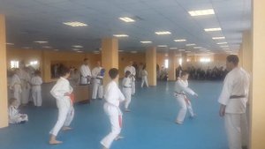 КАРАТЭ ШОТОКАН Сдача на зелёный пояс 6 КЮ 12.11.2017 год