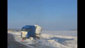 Я вышел ростом и лицом