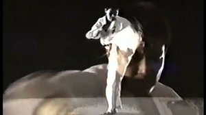 Сильнейшее каратэ Киокушин / Техника реального кумитэ.