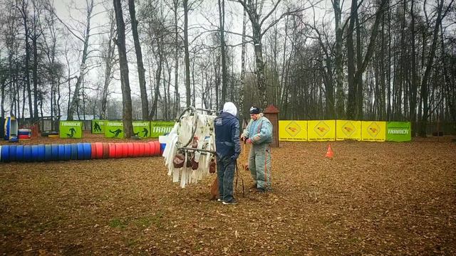 Мондьоринг.Тренировки.Охрана,конвой