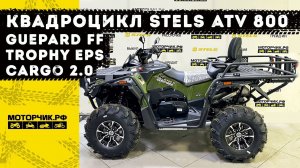 Квадроцикл Stels ATV 800 Guepard FF Trophy EPS CARGO 2.0