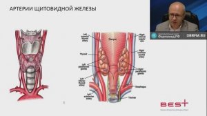 Хирургическое лечение заболеваний щитовидной железы - текущее состояние и новая парадигма