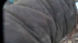 бревновоз для мотоблока