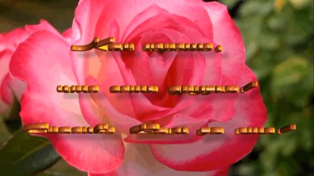 Спасибо всем за поздравление! шикарная видео открытка #видеооткрытка #анимация