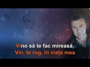 Alexandru Vdovicenco: "Domnișoară, nu pleca".