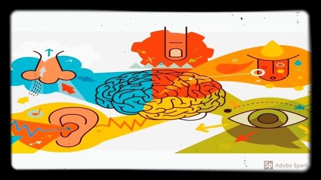 Что такое восприятие человека?