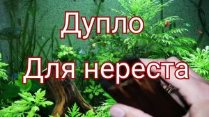 Делаем дупло для нереста сомов анциструсов