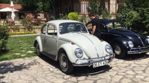 1966 VOLKSWAGEN BEETLE