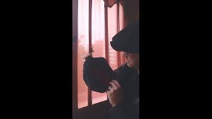 VID_20240812_192503_073.mp4