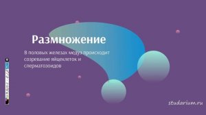 Класс сцифоидные, медузы. Аурелия, корнерот, цианея.  Лекция и разбор заданий ЕГЭ