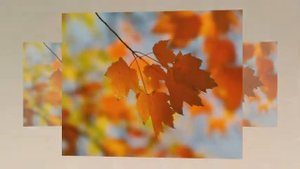 Осенний блюз. .Очень красивая песня