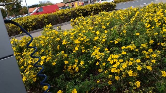 Накачиваю колеса на инвалидной коляске 9 Bar смотреть онлайн