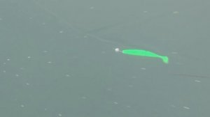 РЫБАЛКА ЗИМОЙ на СИЛИКОН или 100% КЛЁВ без СНЕГА