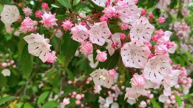 Красивая расслабляющая музыка ✨
