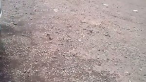 Mitsubishi Fuso Super Great 10M21 engine sound