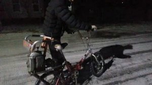 Навал дрифт под фонк на велосипеде с мотором урал 2!