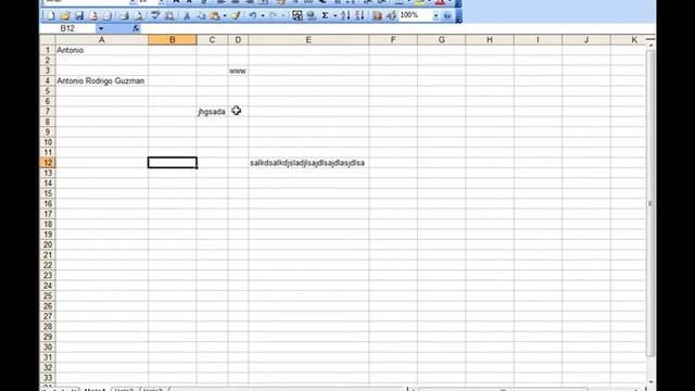 Excel 2003: Manejo de celdas - www.ofimaticaparatorpes.com смотреть онлайн