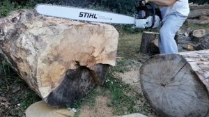 Stihl MS880 cutting with 47 inch bar