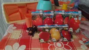 9 самых урожайных  томатов , от Сибирского сада на 2022 год