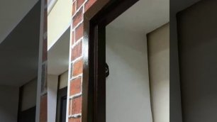 Обзор металлической входной двери «Дозор-829»