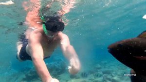 2017 Израиль Подводные обитатели Красного моря