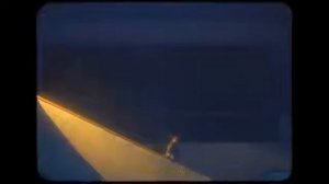 Рем Дигга - Тюльпан