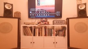 Активный триампинг: 10ГДШ, Zingali, саб, ЦАПы Denon DA-500G и Chord Mojo 2, усилки П-70 и лампа