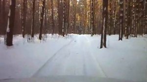 русский лес зимой