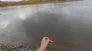 рыбалка на кораблик