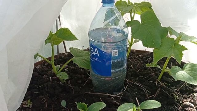 Как мы провели праздник День России ? смотреть онлайн