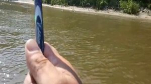 Рыбалка на сома. река Дон.