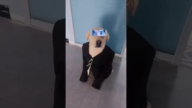 1000002317.mp4 смотреть онлайн