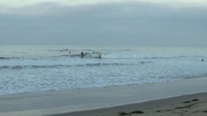 Another Dawn Patrol @ Secret Spot 8/24/19