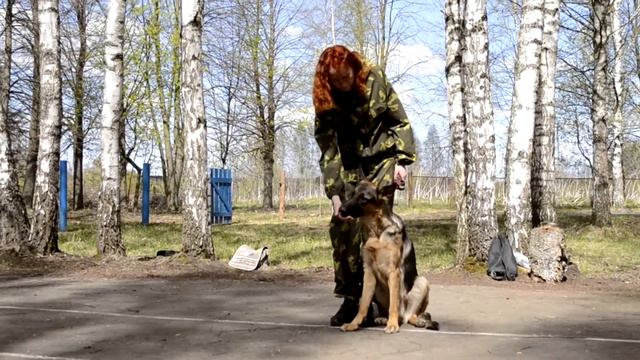 Учебно-дрессировочная площадка "Барс" смотреть онлайн