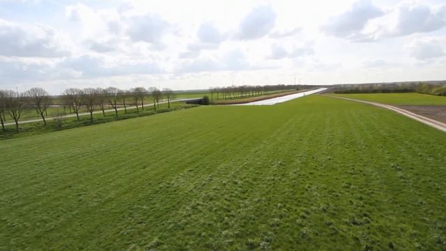 okto test2 Rene смотреть онлайн