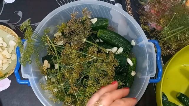 Готовлю огурчики
