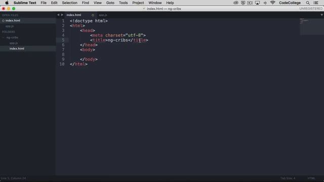 AngularJS Tutorial: [#2] Installation and Set Up - Getting Started with AngularJS
