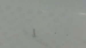 Испытание блесна *гробик*