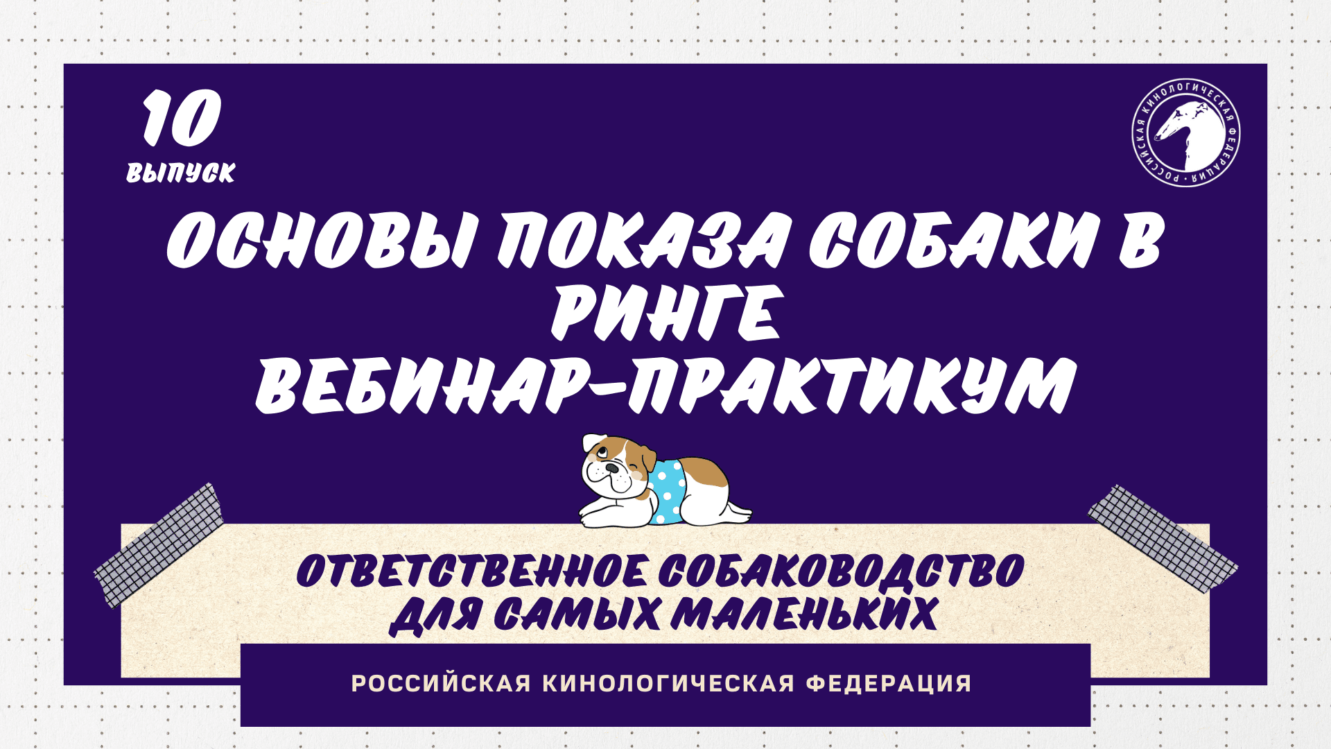 Часть 10. Основы показа собаки в ринге. Вебинар-практикум | РКФ детям