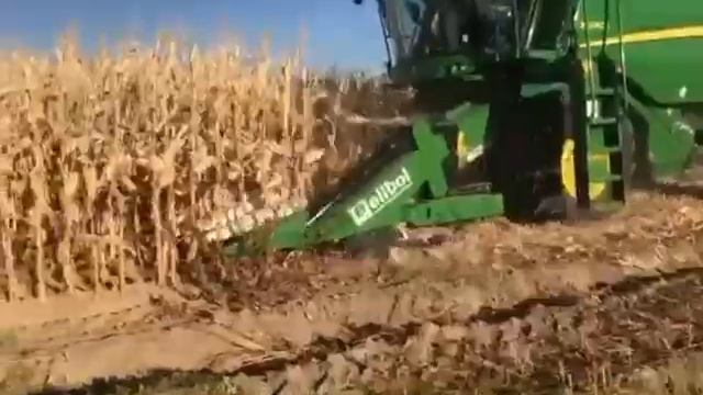 Кукурузная жатка Elibol (Турция) и зерноуборочный комбайн John Deere W 660 i