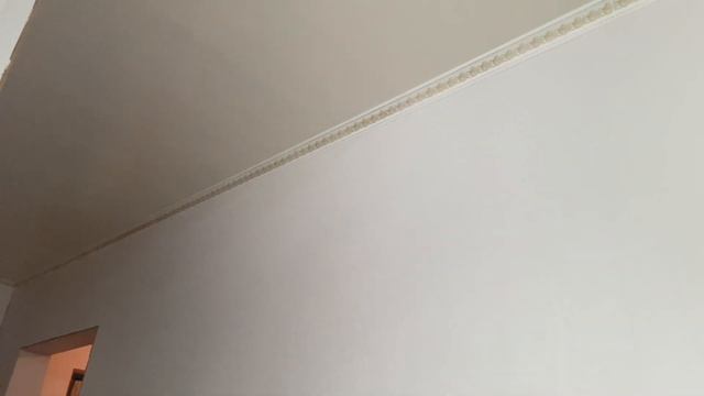 Хороший клей для потолочных плинтусов, наличников и т.д. Заметки для самостоятельного ремонта.