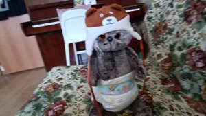 Кто и Как? ПЕТЯ БАСИК (+1)