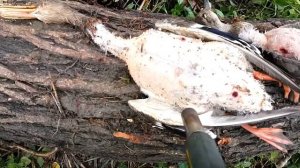 ОХОТА НА УТКУ В ЧЕКАХ. ШУЛЮМ ИЗ УТКИ И ГОВЯДИНЫ. РЕЦЕПТЫ СЮФ