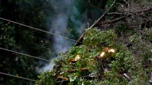 Электрическое замыкание дерева на ЛЭП и дуга